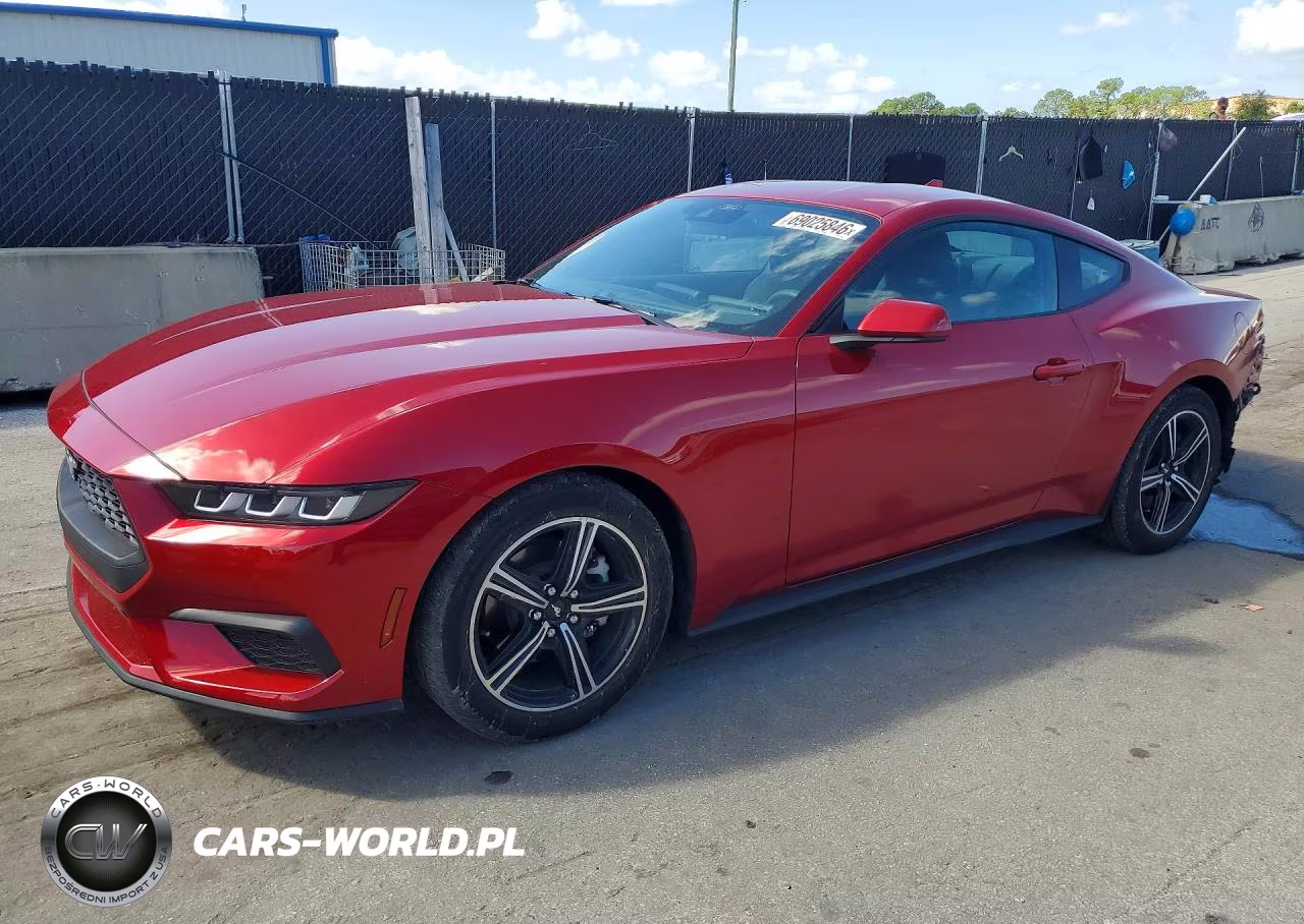 2024 Ford Mustang VIN:1FA6P8TH2R5118224 - 1