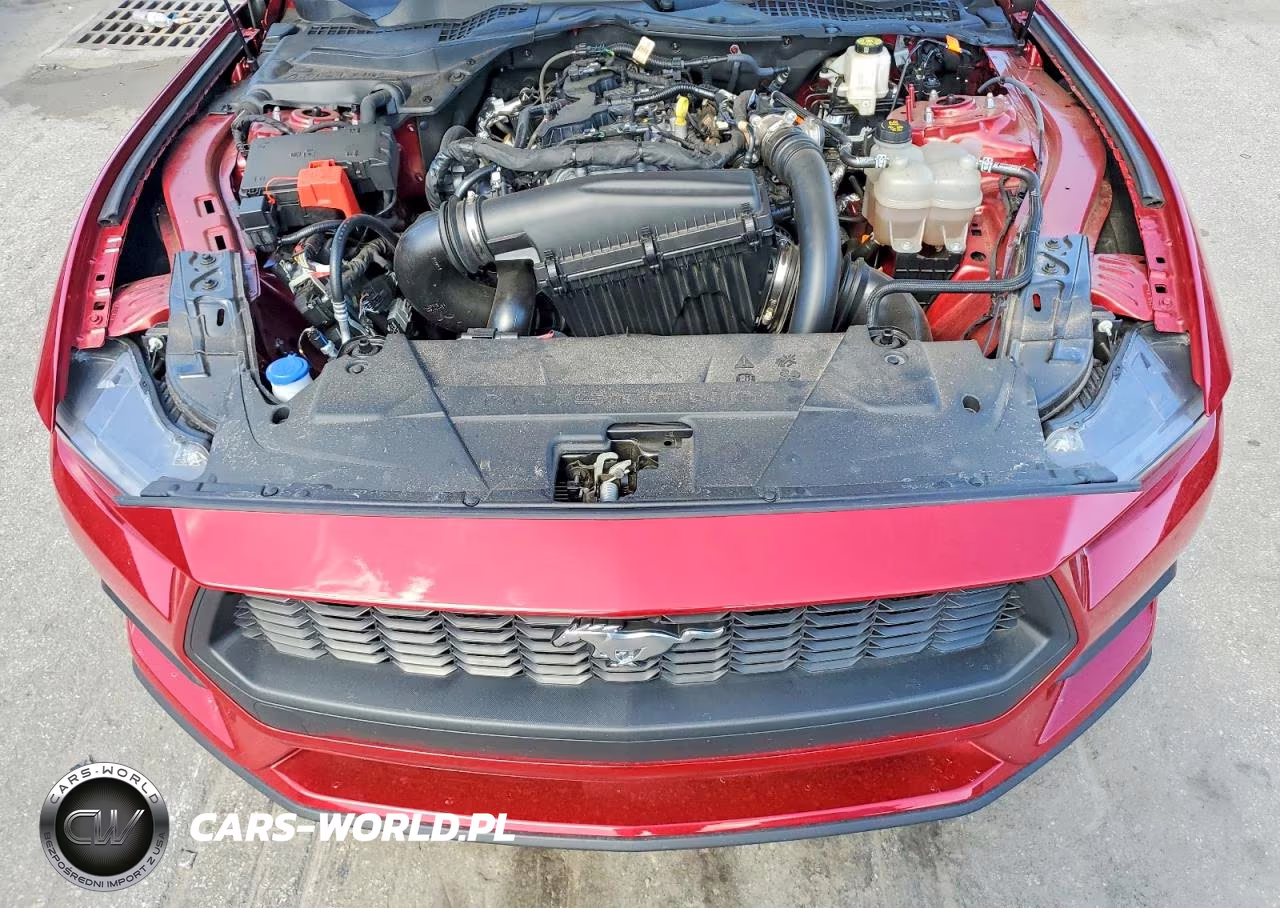 2024 Ford Mustang VIN:1FA6P8TH2R5118224 - 11