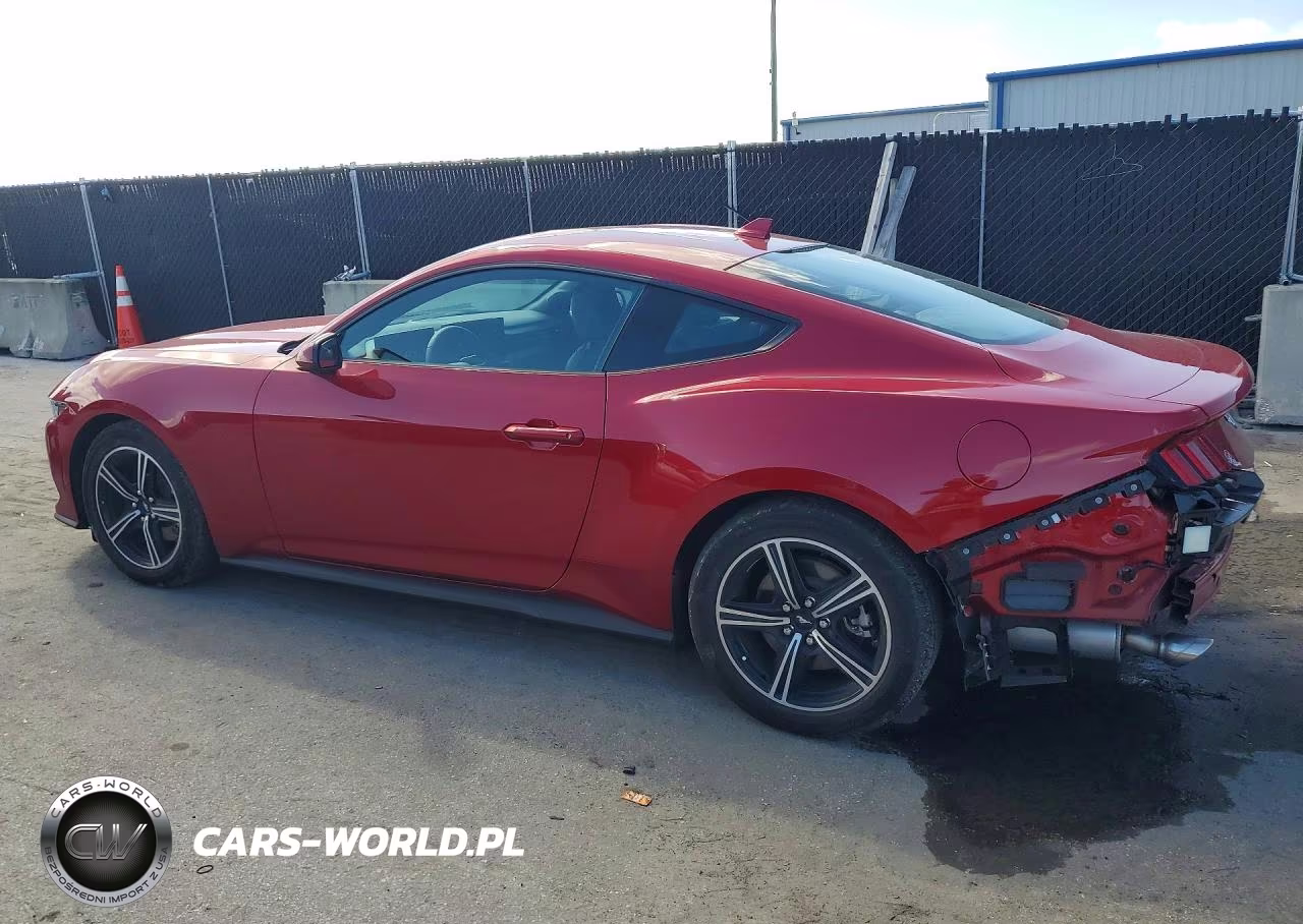 2024 Ford Mustang VIN:1FA6P8TH2R5118224 - 2