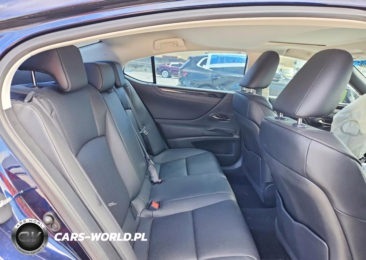 2020 Lexus Es 350 VIN:58ADZ1B14LU081198 - 10