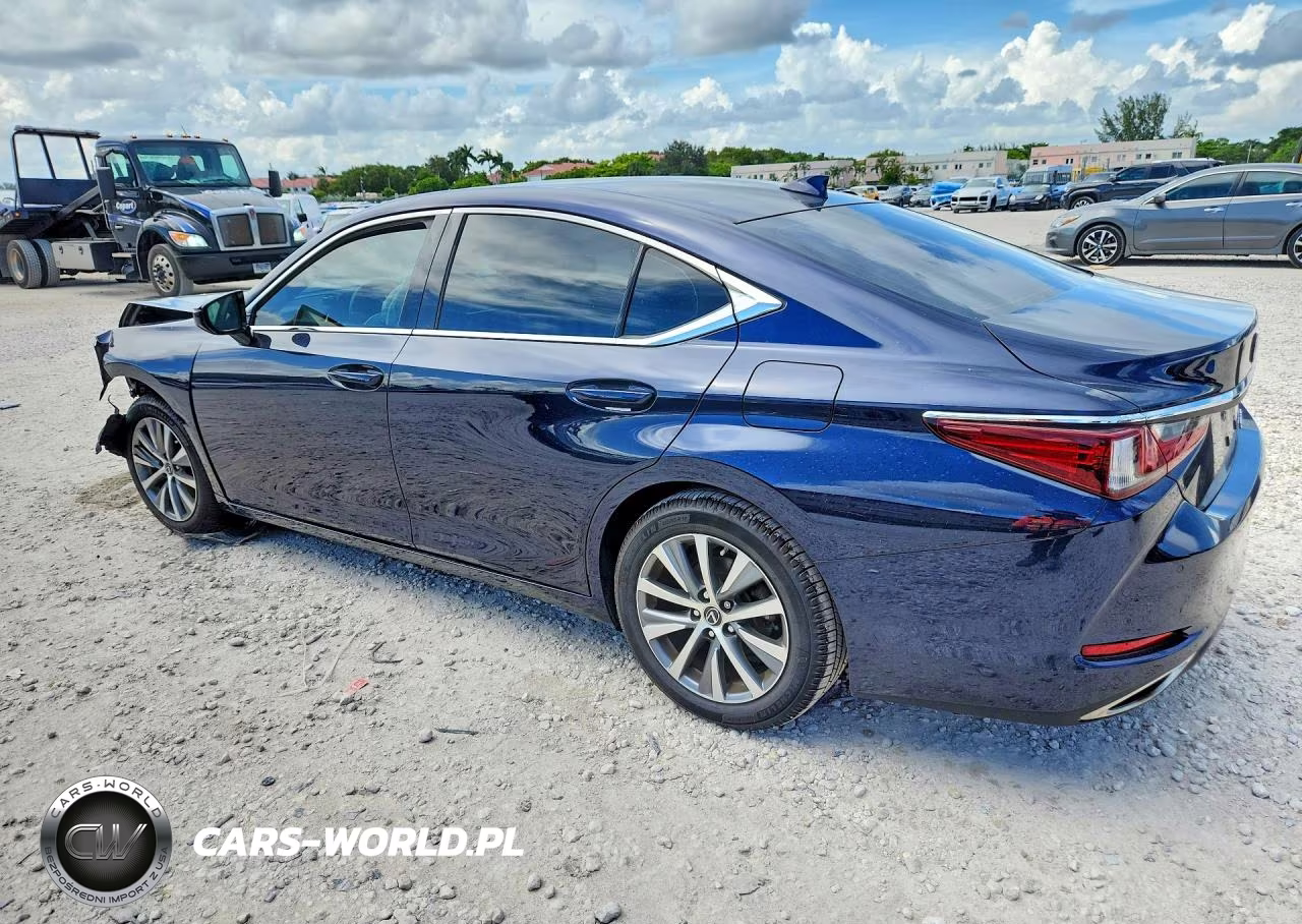 2020 Lexus Es 350 VIN:58ADZ1B14LU081198 - 2