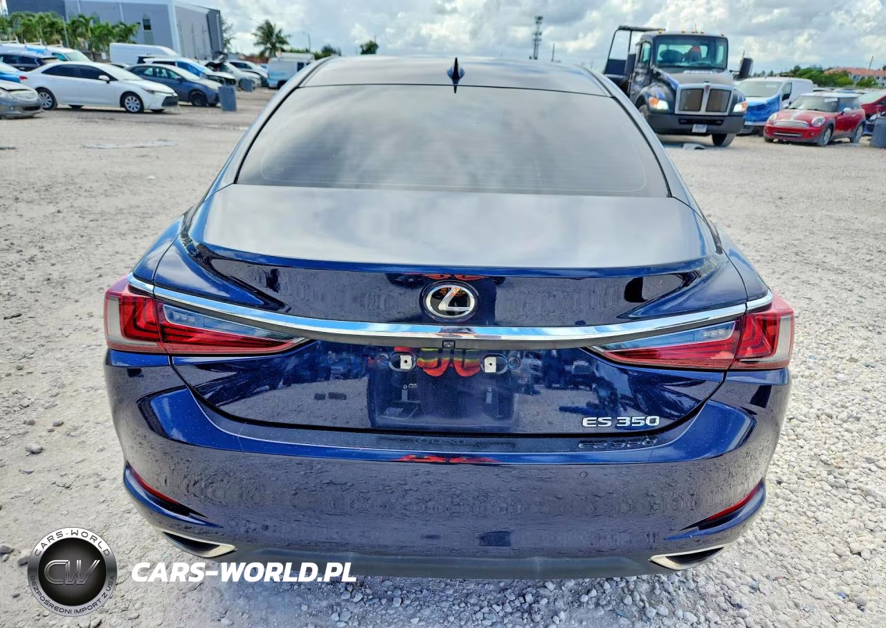 2020 Lexus Es 350 VIN:58ADZ1B14LU081198 - 6