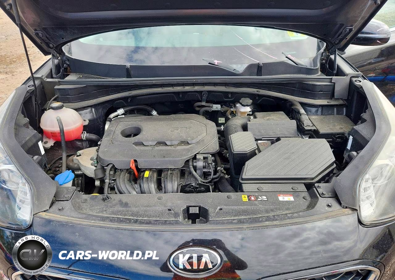 2021 Kia Sportage Lx VIN:KNDPM3ACXM7924973 - 12