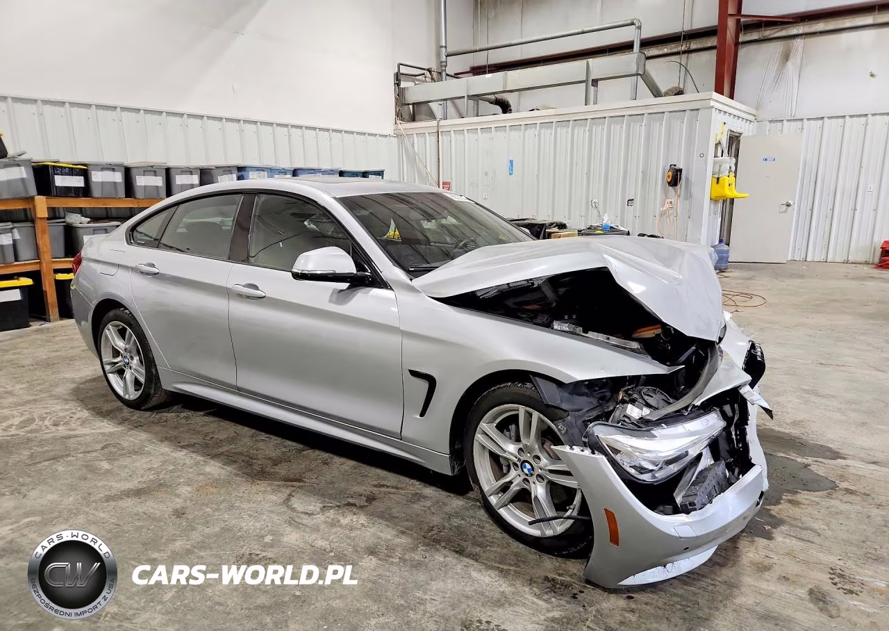 2016 BMW 428 Xi Gran Coupe Sulev VIN:WBA4C9C55GG140287 - 4