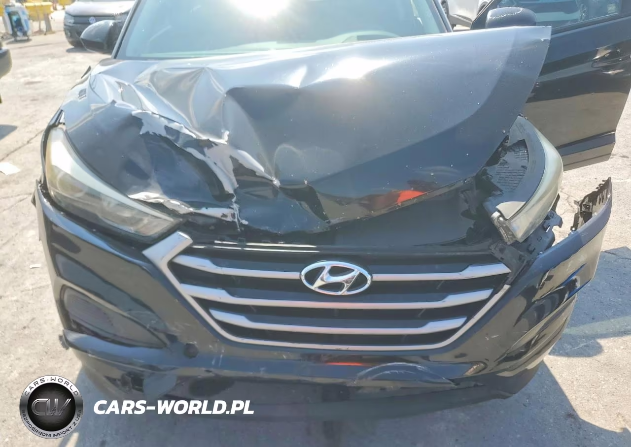 2017 Hyundai Tucson Se VIN:KM8J23A42HU262135 - 11