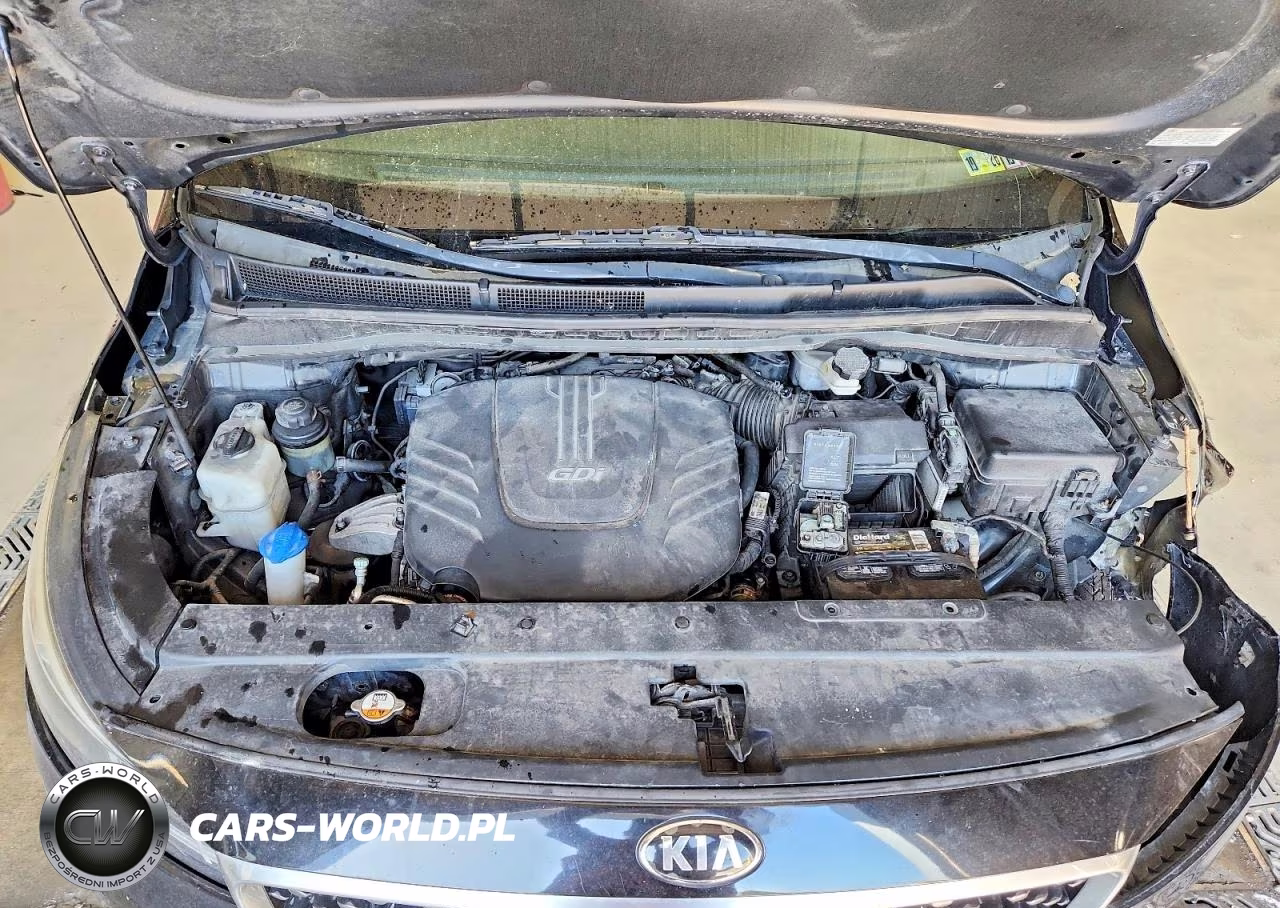 2015 Kia Sedona Lx VIN:KNDMB5C15F6061699 - 12