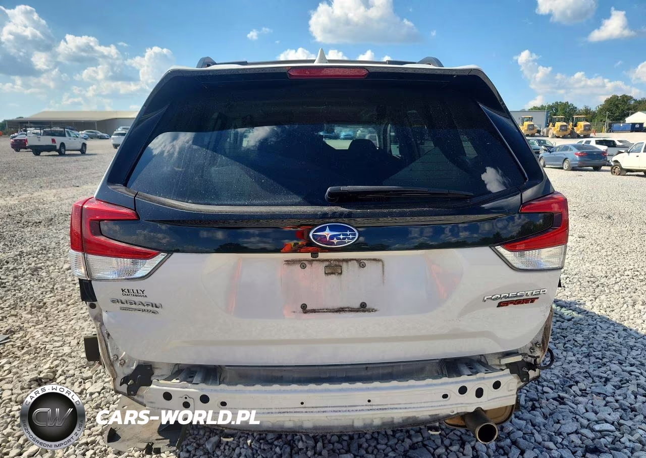 2019 Subaru Forester Sport VIN:JF2SKAJCXKH573723 - 6