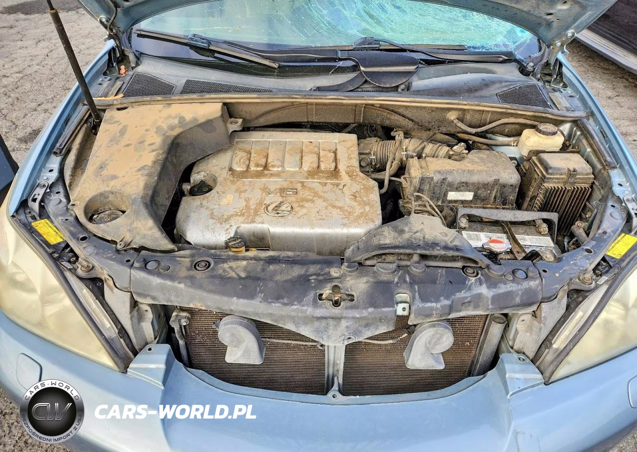 2009 Lexus Rx 350 VIN:2T2GK31U09C057566 - 12