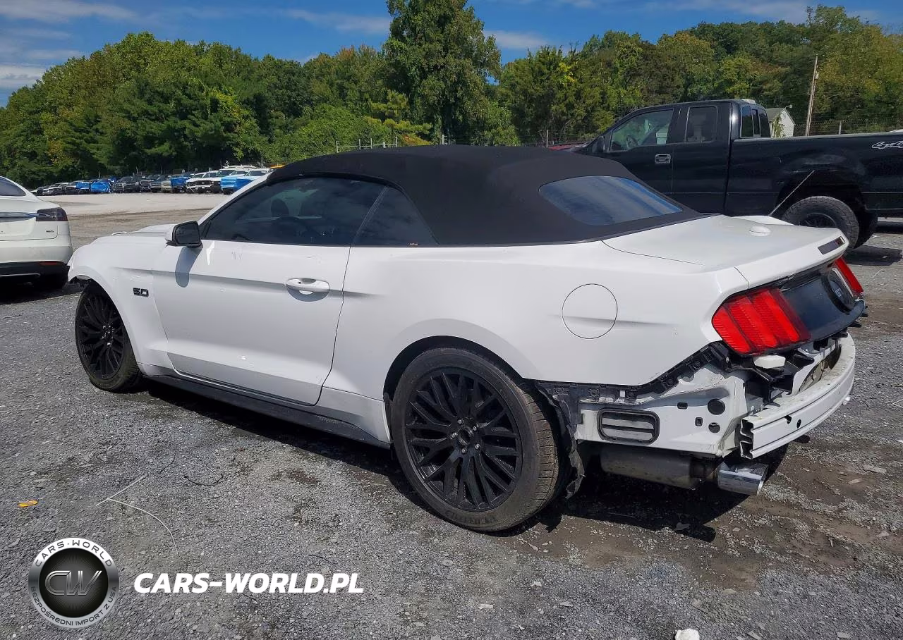 2017 Ford Mustang Gt VIN:1FATP8FF7H5321752 - 2