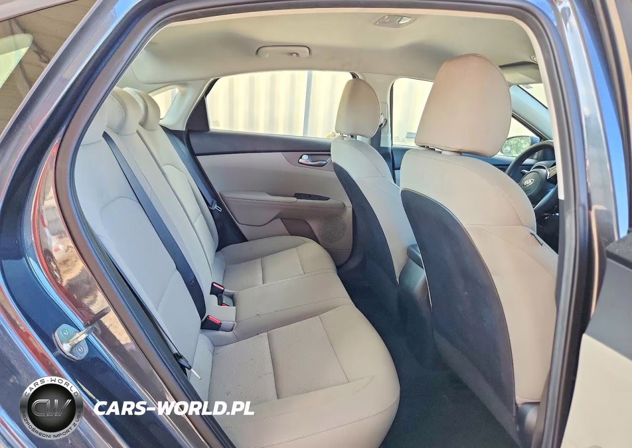 2019 Kia Forte Lxs VIN:3KPF24AD0KE119867 - 10