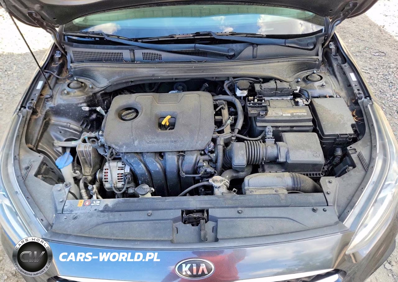 2019 Kia Forte Lxs VIN:3KPF24AD0KE119867 - 11