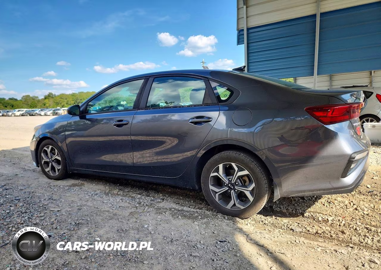 2019 Kia Forte Lxs VIN:3KPF24AD0KE119867 - 2