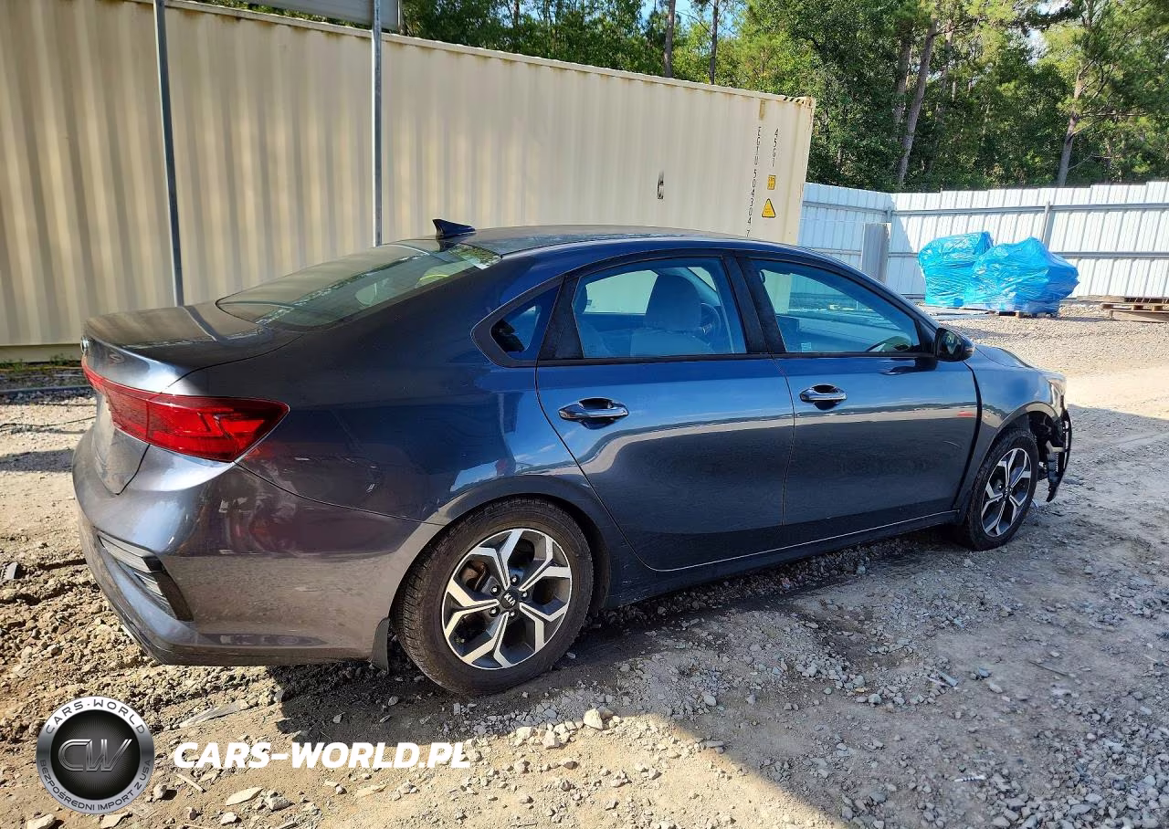 2019 Kia Forte Lxs VIN:3KPF24AD0KE119867 - 3