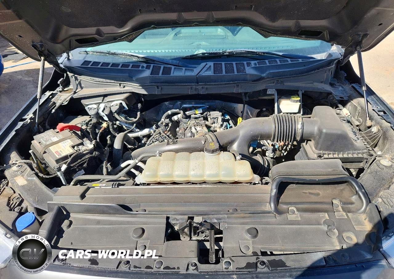 2021 Ford F150 Supercrew VIN:1FTEW1CP5MFC05108 - 11