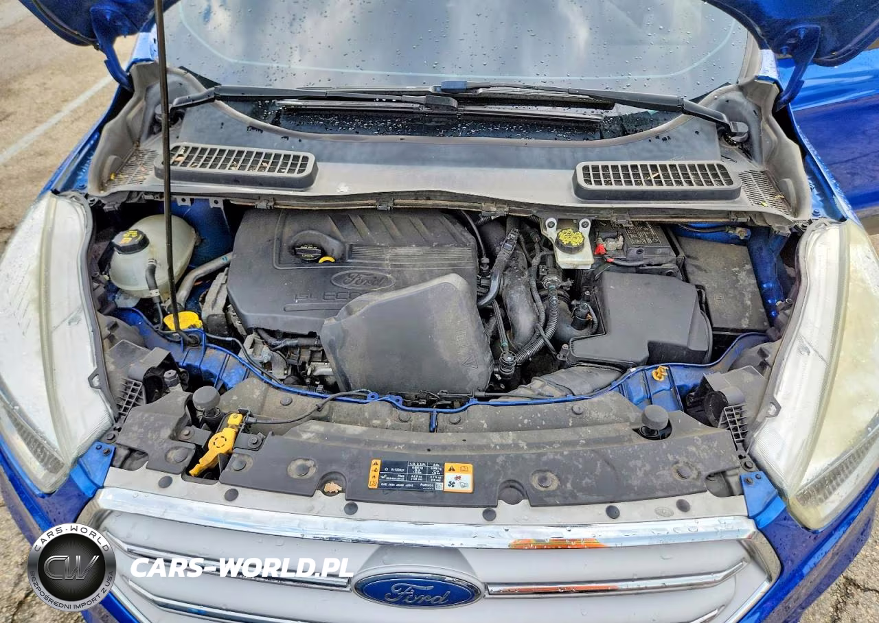 2018 Ford Escape Se VIN:1FMCU0GD7JUA76041 - 12