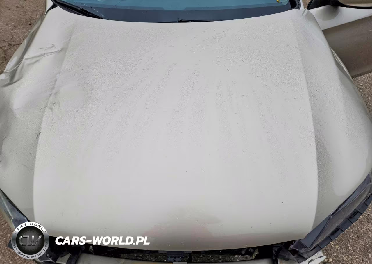 2014 Honda Accord Lx VIN:1HGCR2F31EA256120 - 11