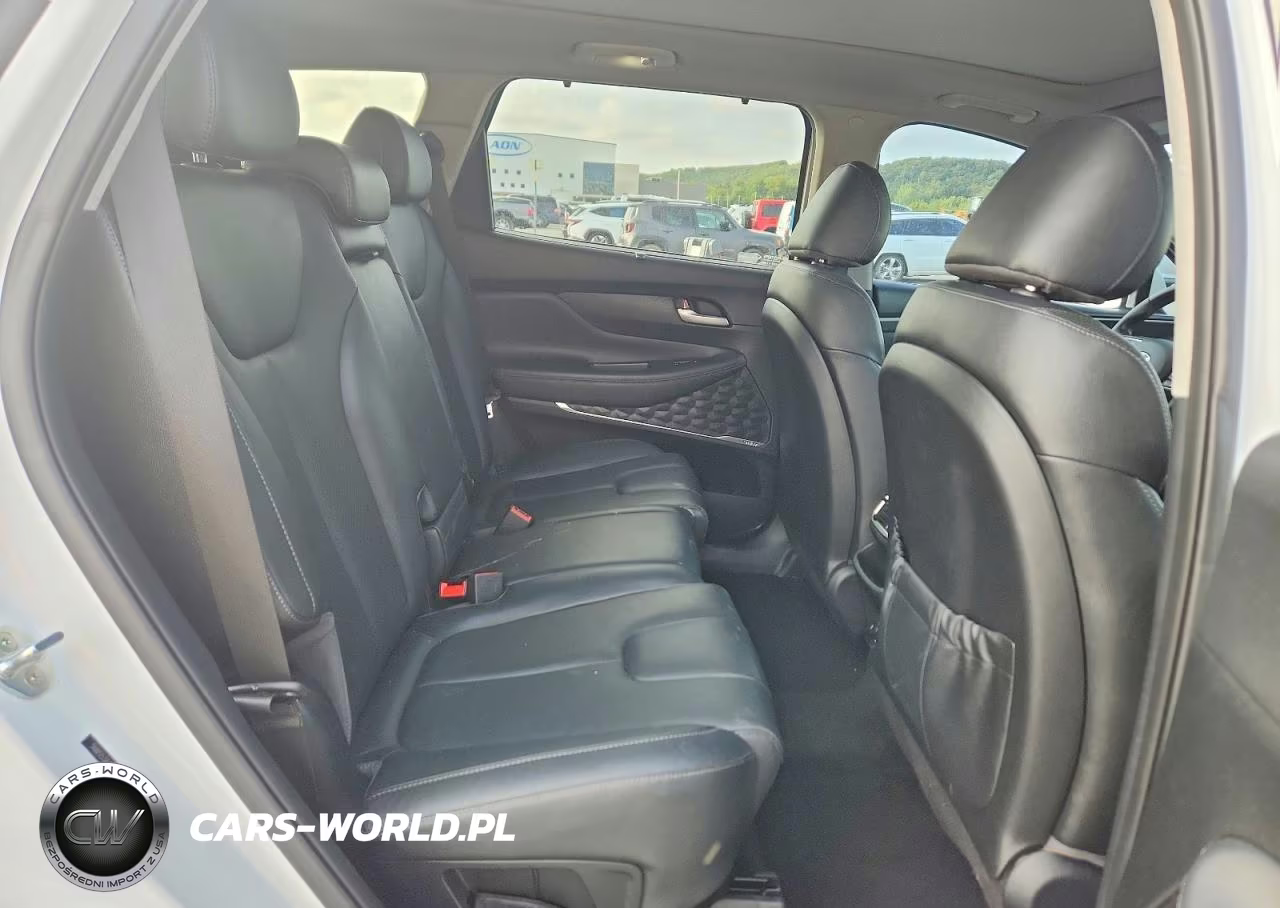 2019 Hyundai Santa Fe Ultimate 2.0T VIN:5NMS53AA6KH033042 - 10