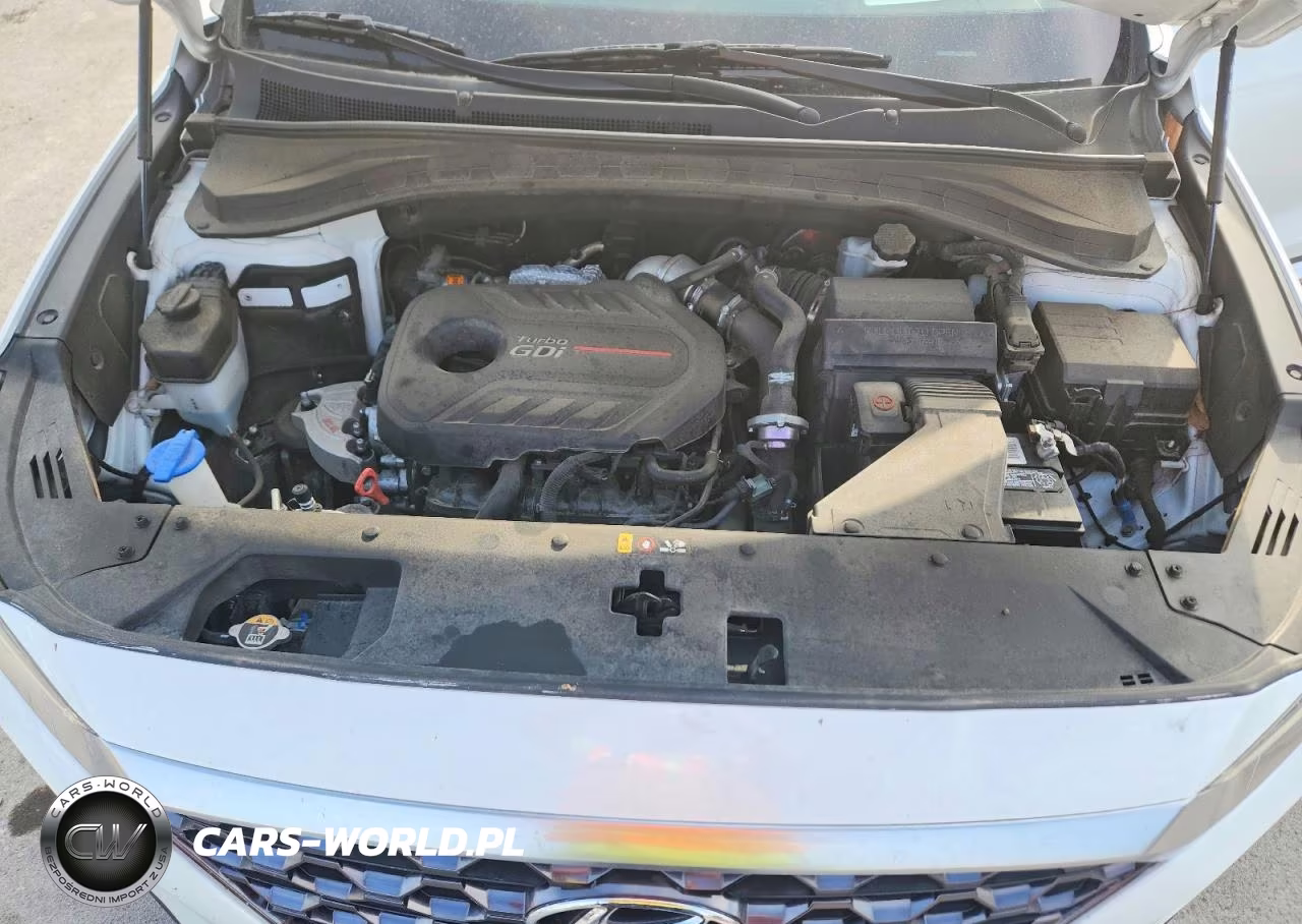2019 Hyundai Santa Fe Ultimate 2.0T VIN:5NMS53AA6KH033042 - 11