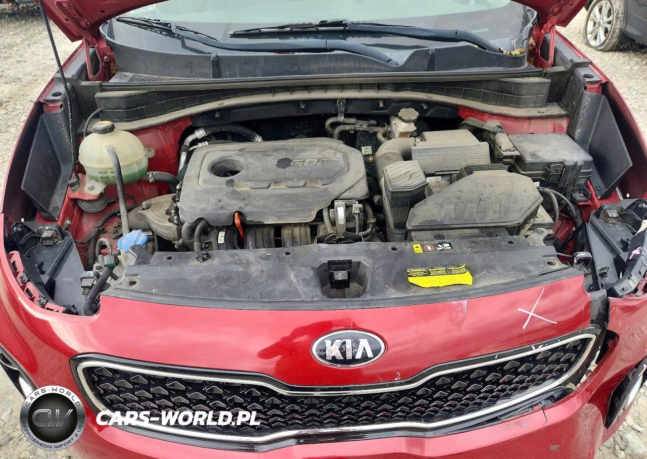 2017 Kia Sportage Lx VIN:KNDPMCAC1H7238391 - 12