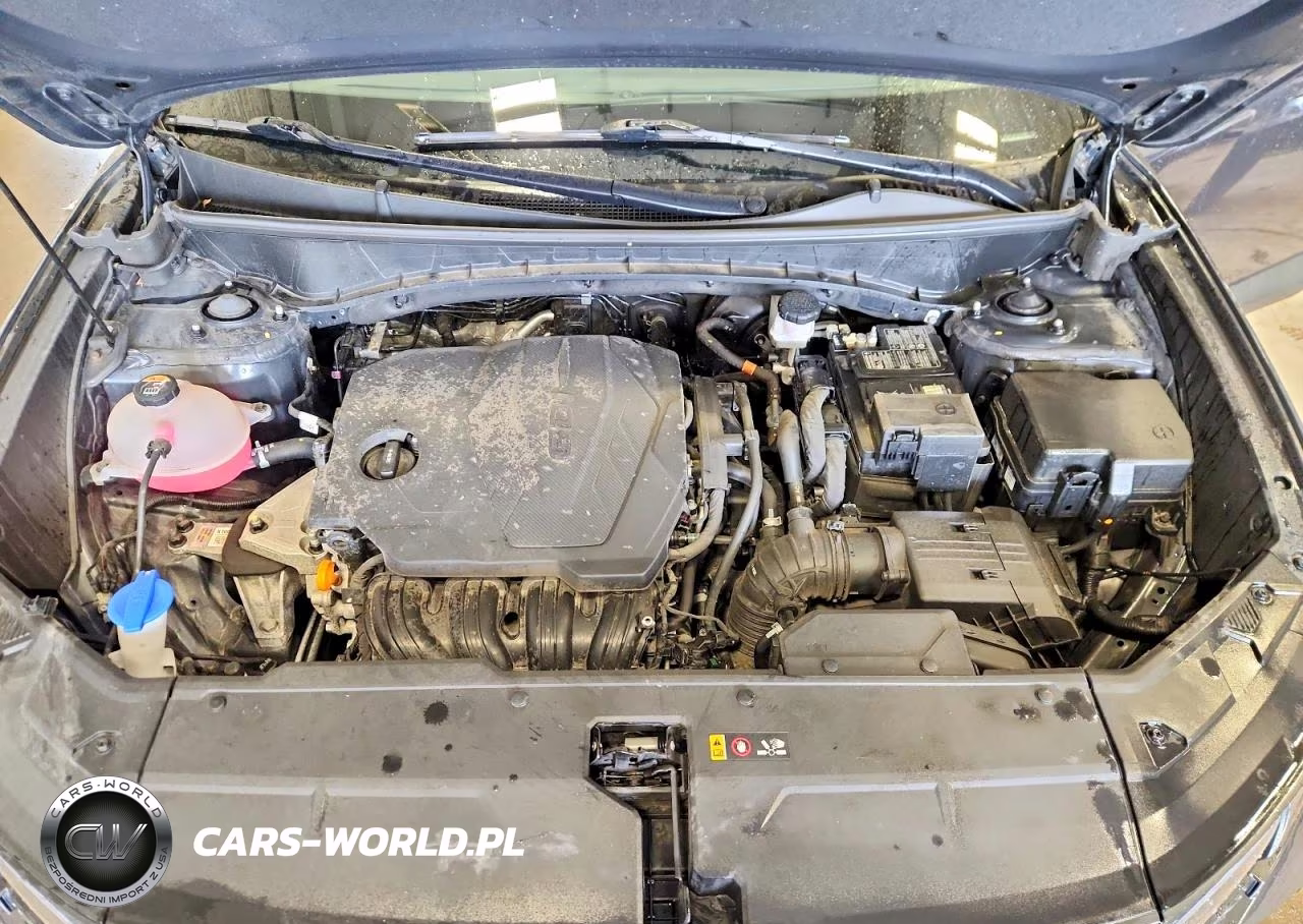 2023 Hyundai Tucson Sel VIN:5NMJFCAE3PH293465 - 12