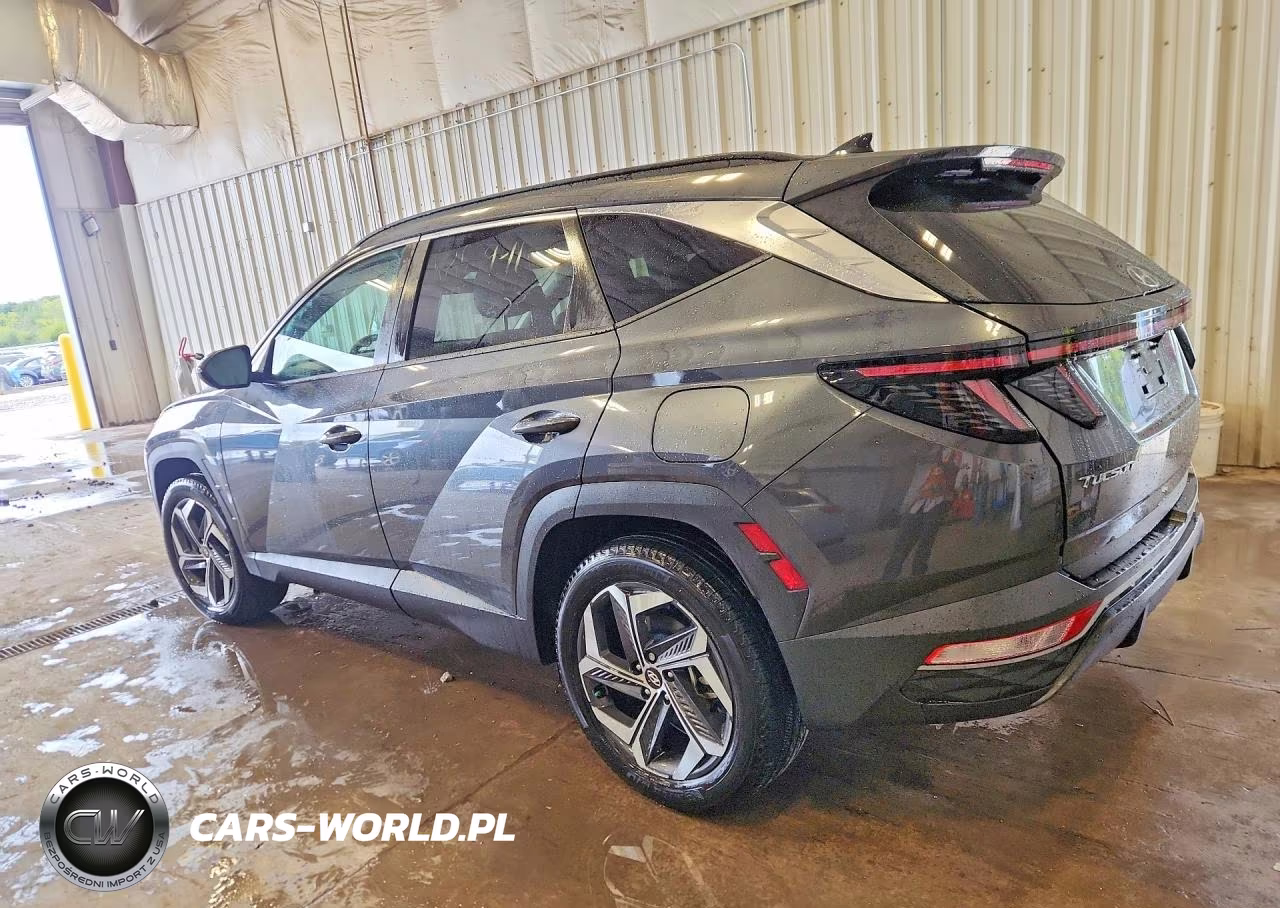 2023 Hyundai Tucson Sel VIN:5NMJFCAE3PH293465 - 2