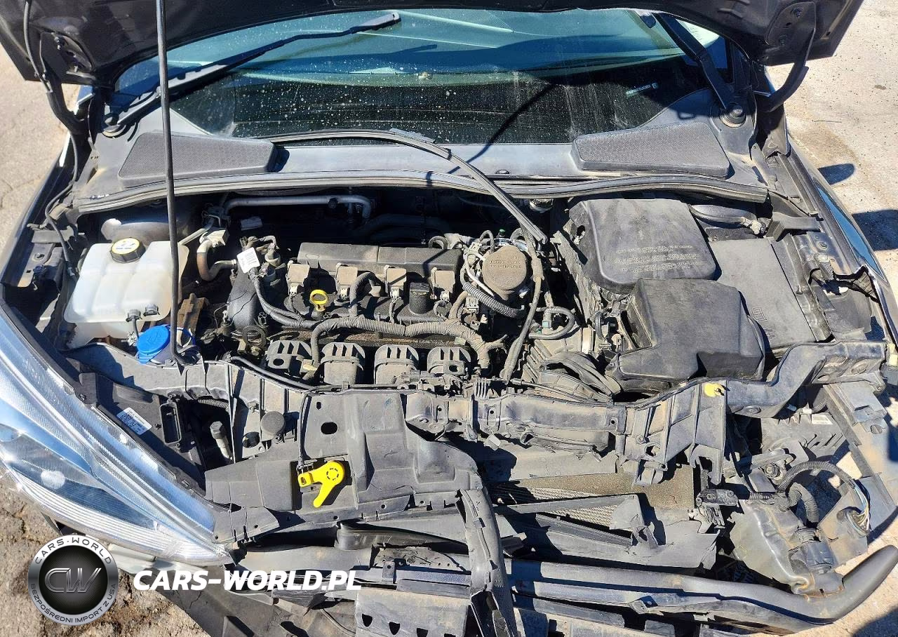 2016 Ford Focus Titanium VIN:1FADP3N27GL253226 - 12