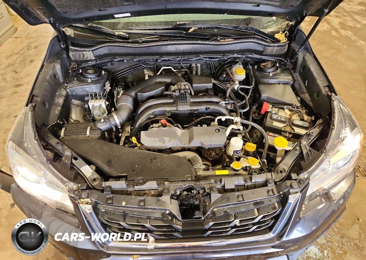 2017 Subaru Forester 2.5I Premium VIN:JF2SJAEC3HH407002 - 12