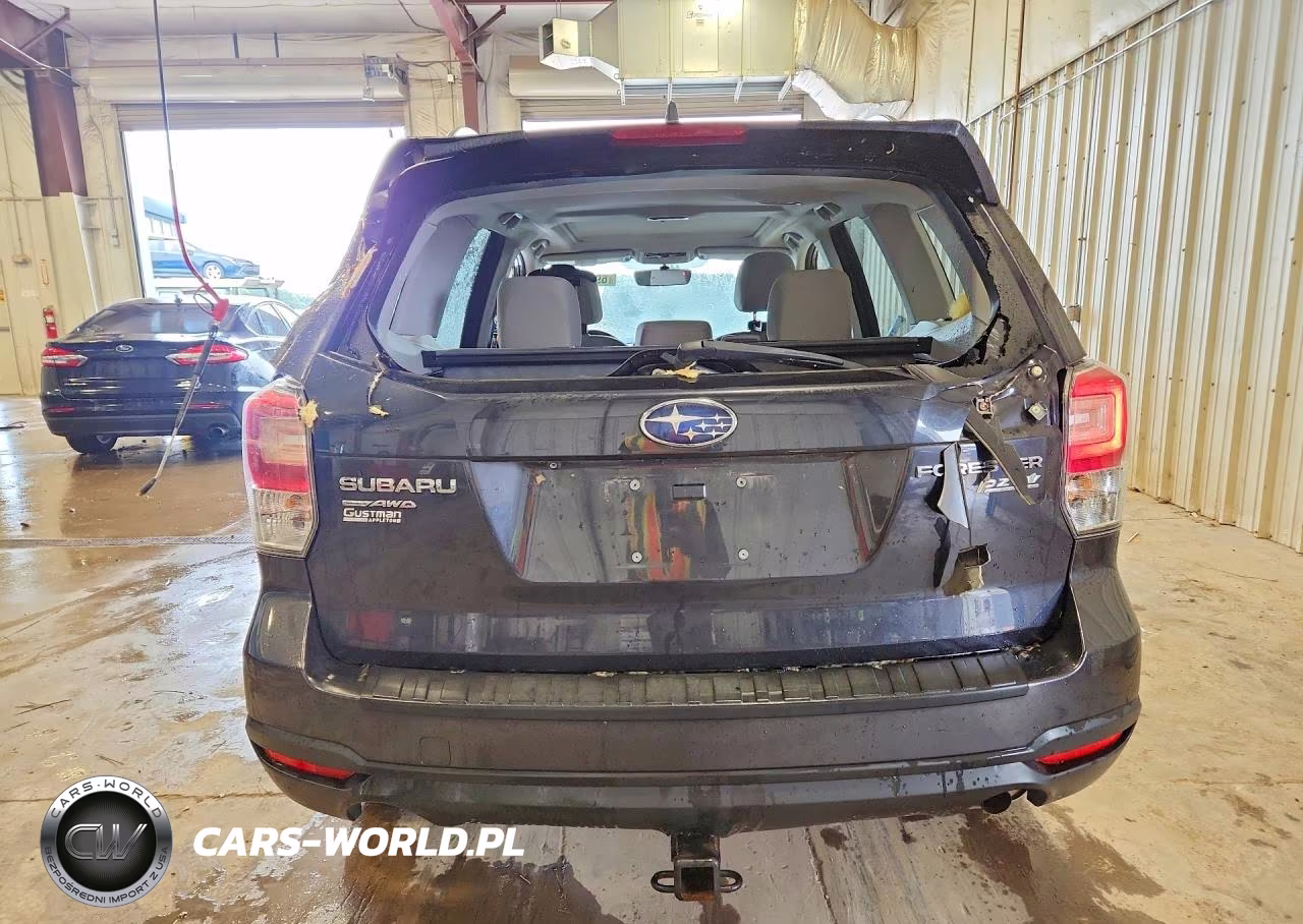 2017 Subaru Forester 2.5I Premium VIN:JF2SJAEC3HH407002 - 6