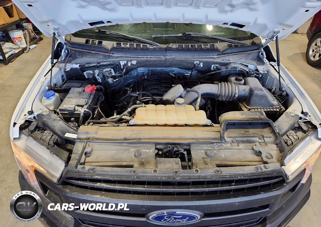 2019 Ford F150 Supercrew VIN:1FTFW1E52KKF33008 - 11