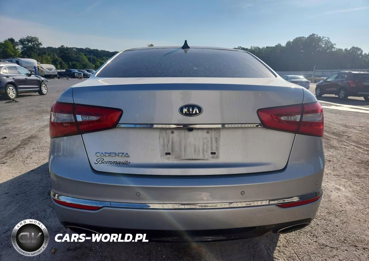 2016 Kia Cadenza Luxury VIN:KNALN4D76G5217866 - 6