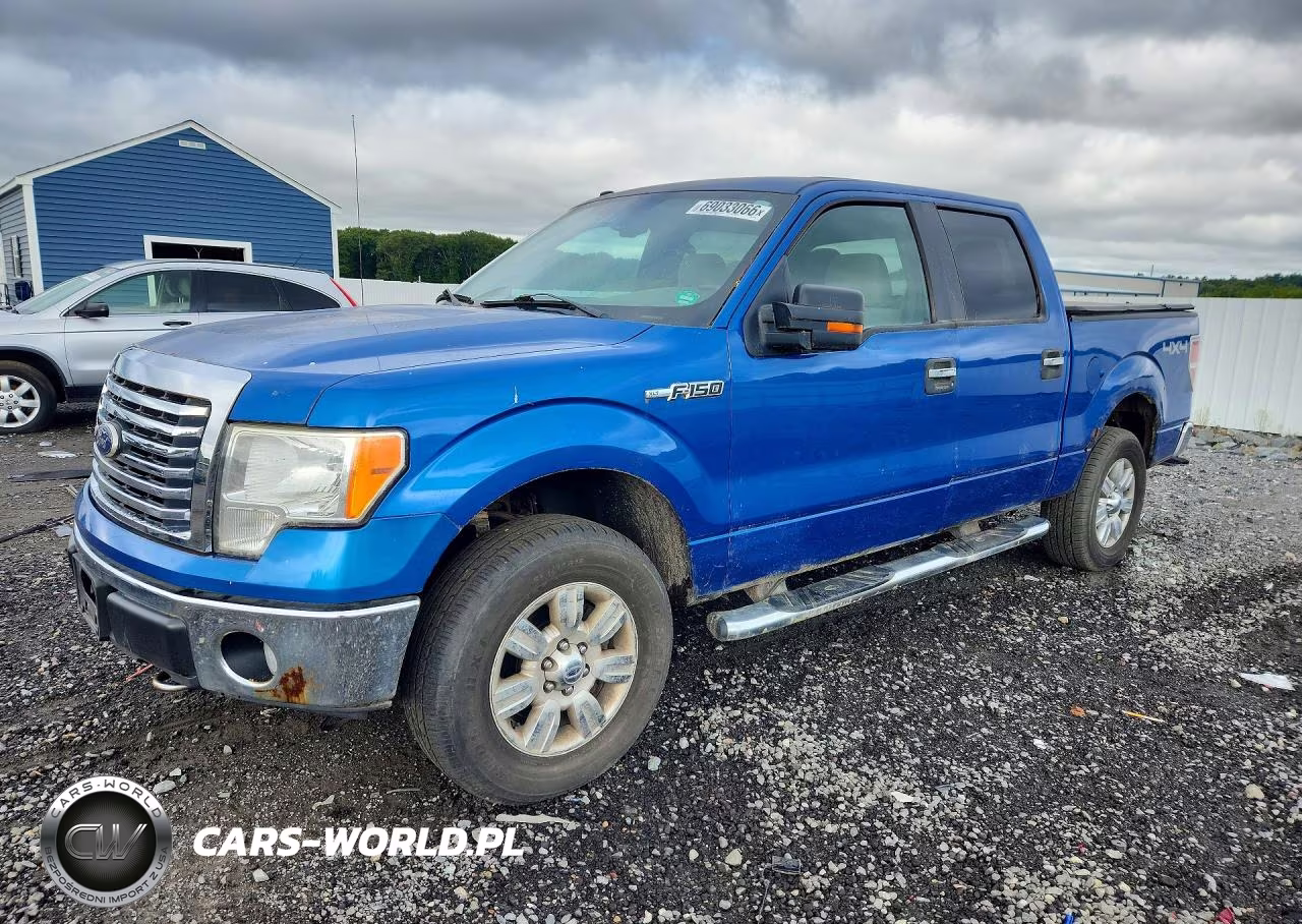 2010 Ford F150 Supercrew VIN:1FTEW1E87AFA73678 - 1