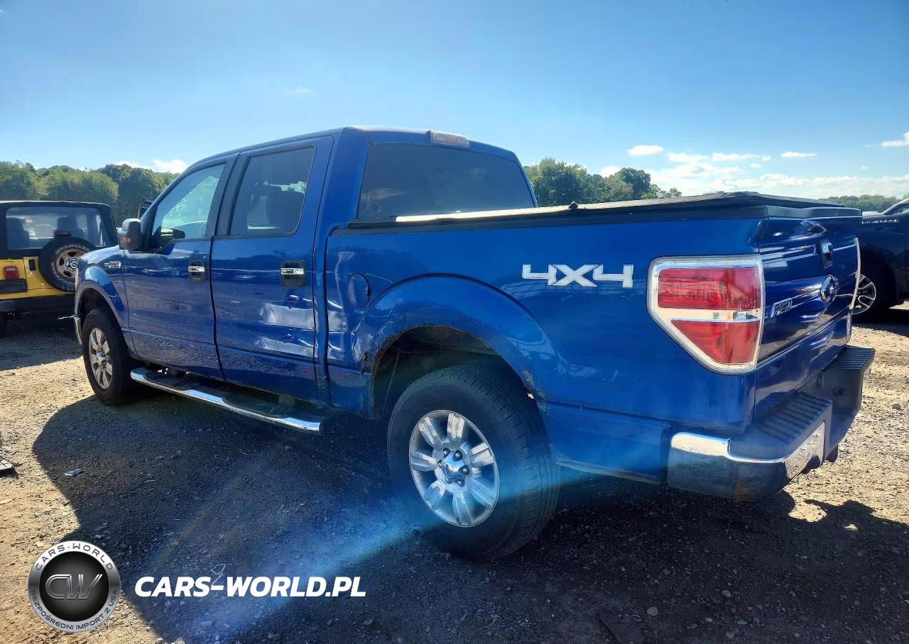2010 Ford F150 Supercrew VIN:1FTEW1E87AFA73678 - 2