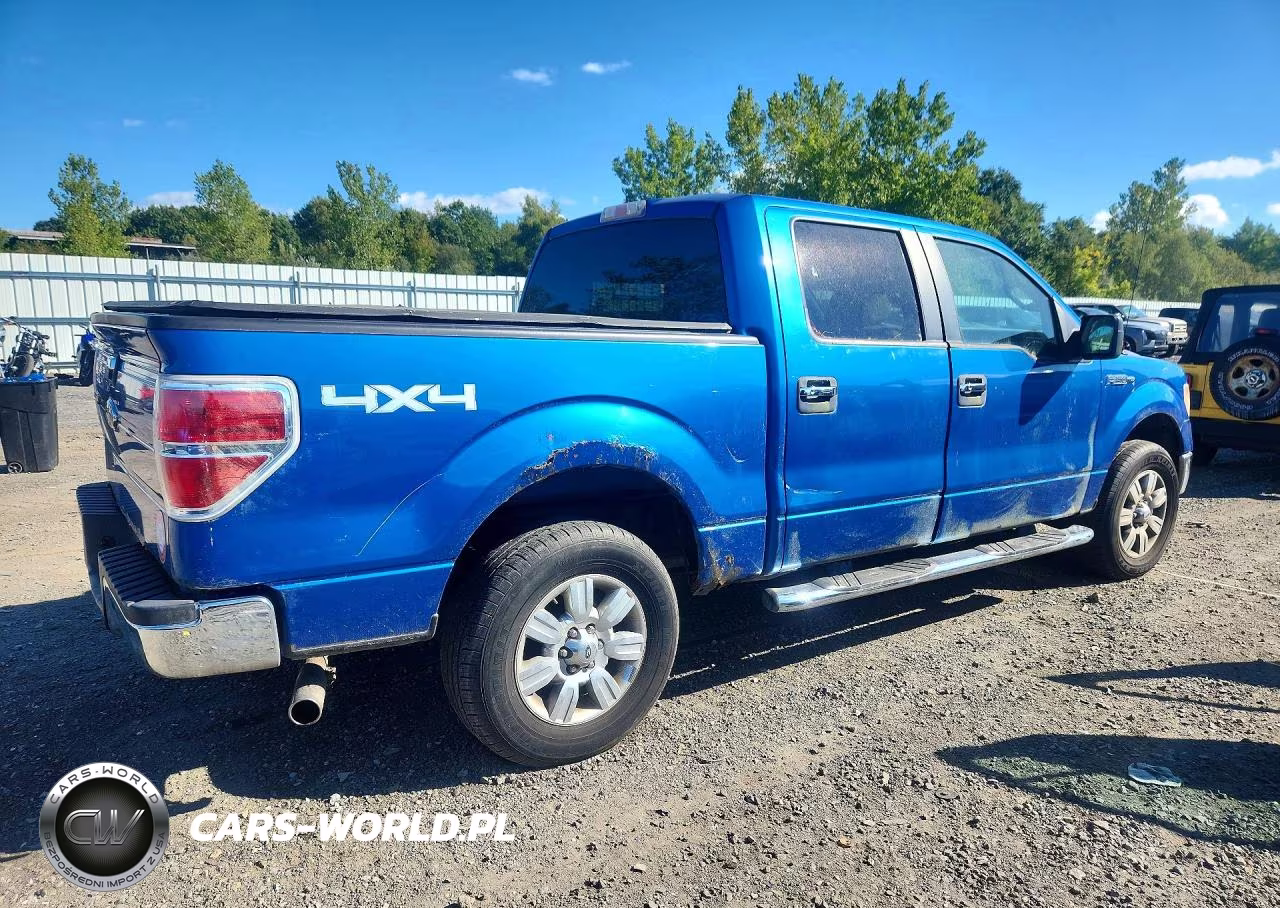 2010 Ford F150 Supercrew VIN:1FTEW1E87AFA73678 - 3
