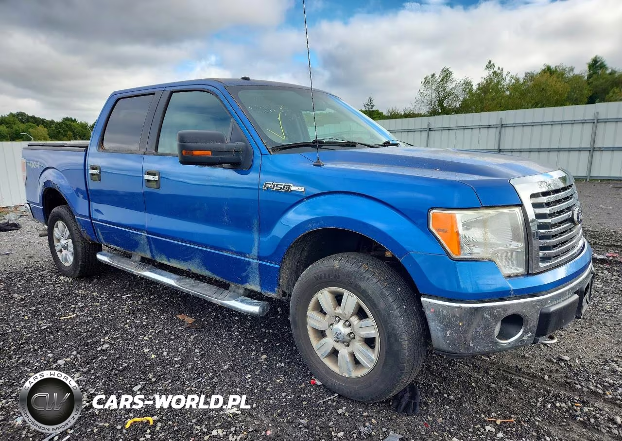 2010 Ford F150 Supercrew VIN:1FTEW1E87AFA73678 - 4