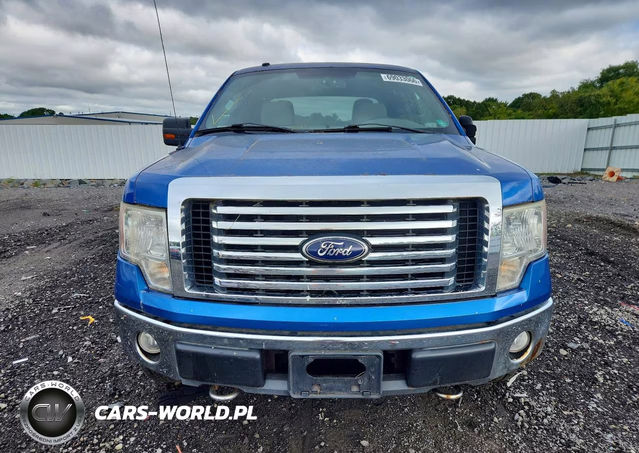 2010 Ford F150 Supercrew VIN:1FTEW1E87AFA73678 - 5