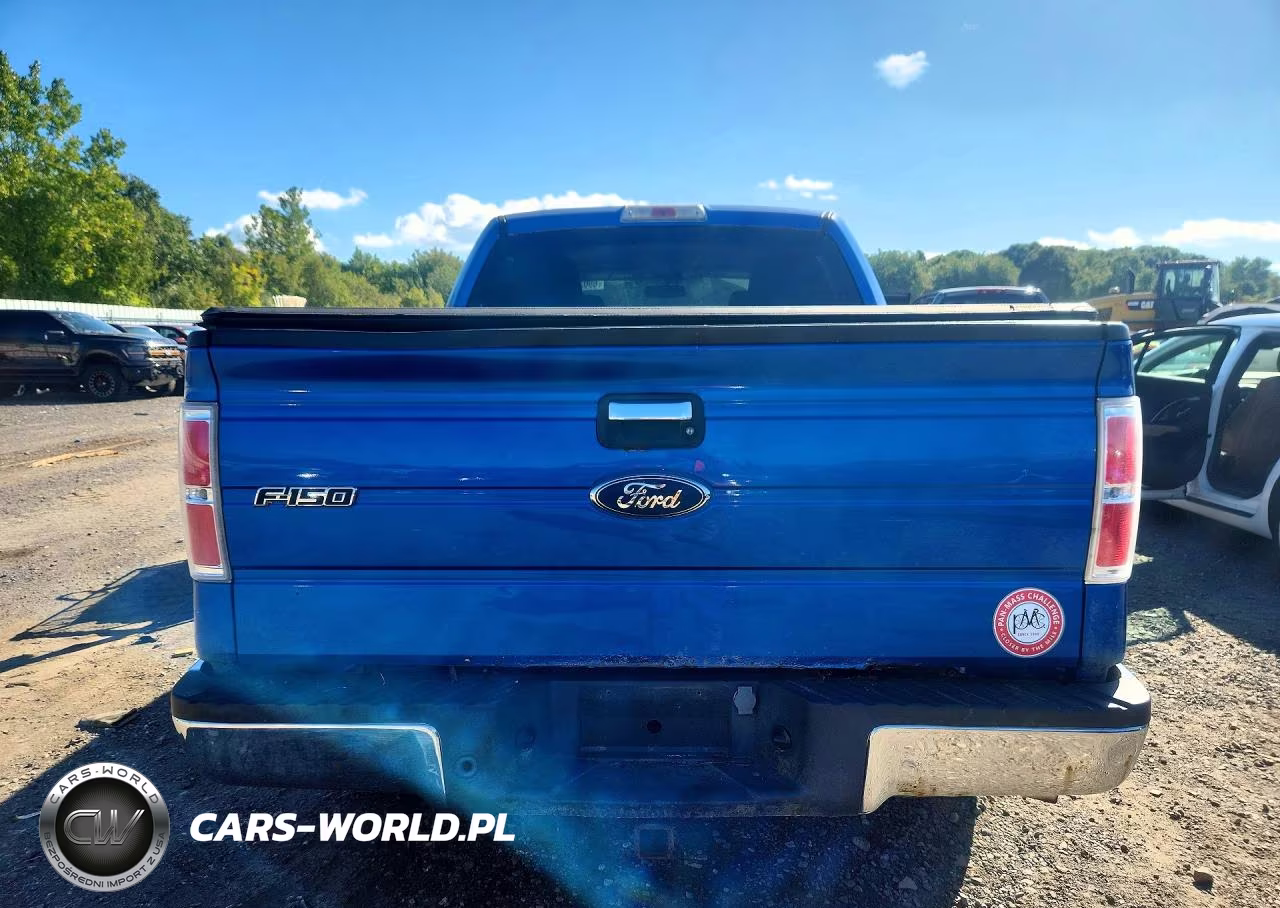 2010 Ford F150 Supercrew VIN:1FTEW1E87AFA73678 - 6
