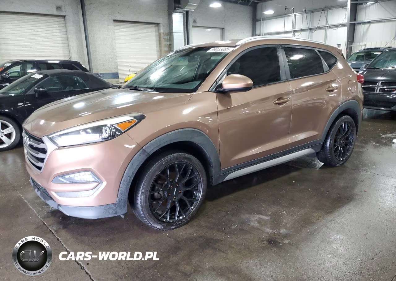 2017 Hyundai Tucson VIN:KM8J3CA45HU275345 - 1