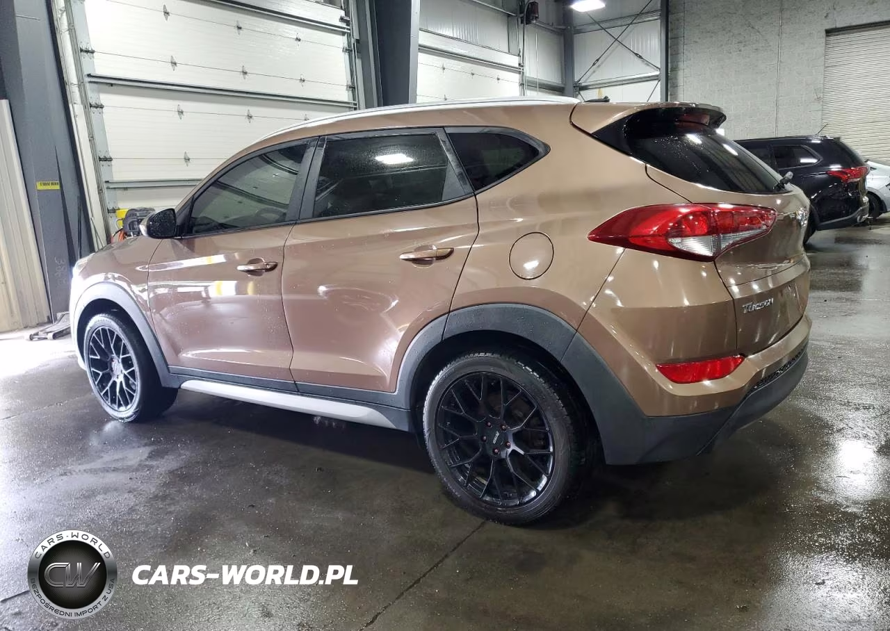 2017 Hyundai Tucson VIN:KM8J3CA45HU275345 - 2