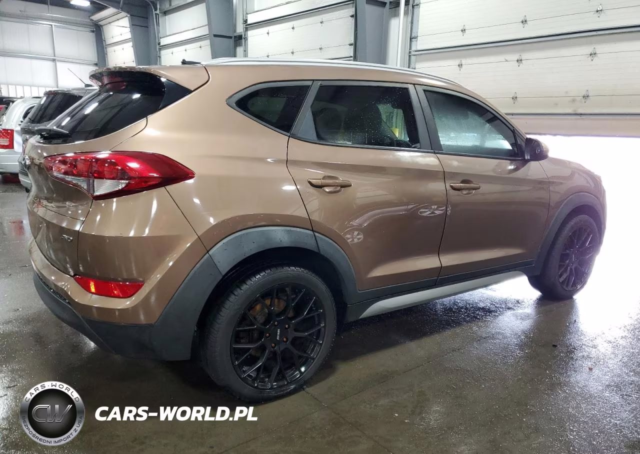 2017 Hyundai Tucson VIN:KM8J3CA45HU275345 - 3