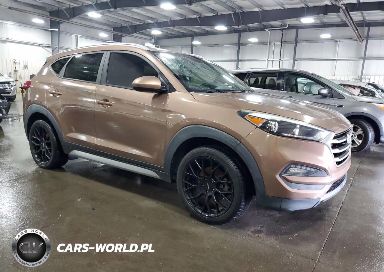 2017 Hyundai Tucson VIN:KM8J3CA45HU275345 - 4