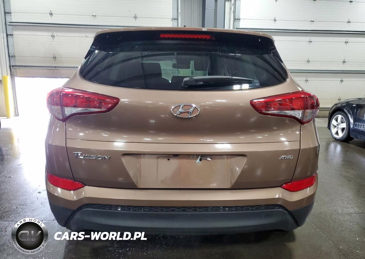 2017 Hyundai Tucson VIN:KM8J3CA45HU275345 - 6