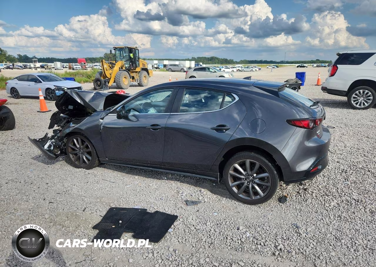 2019 Mazda 3 Preferred VIN:JM1BPBMM2K1135250 - 2