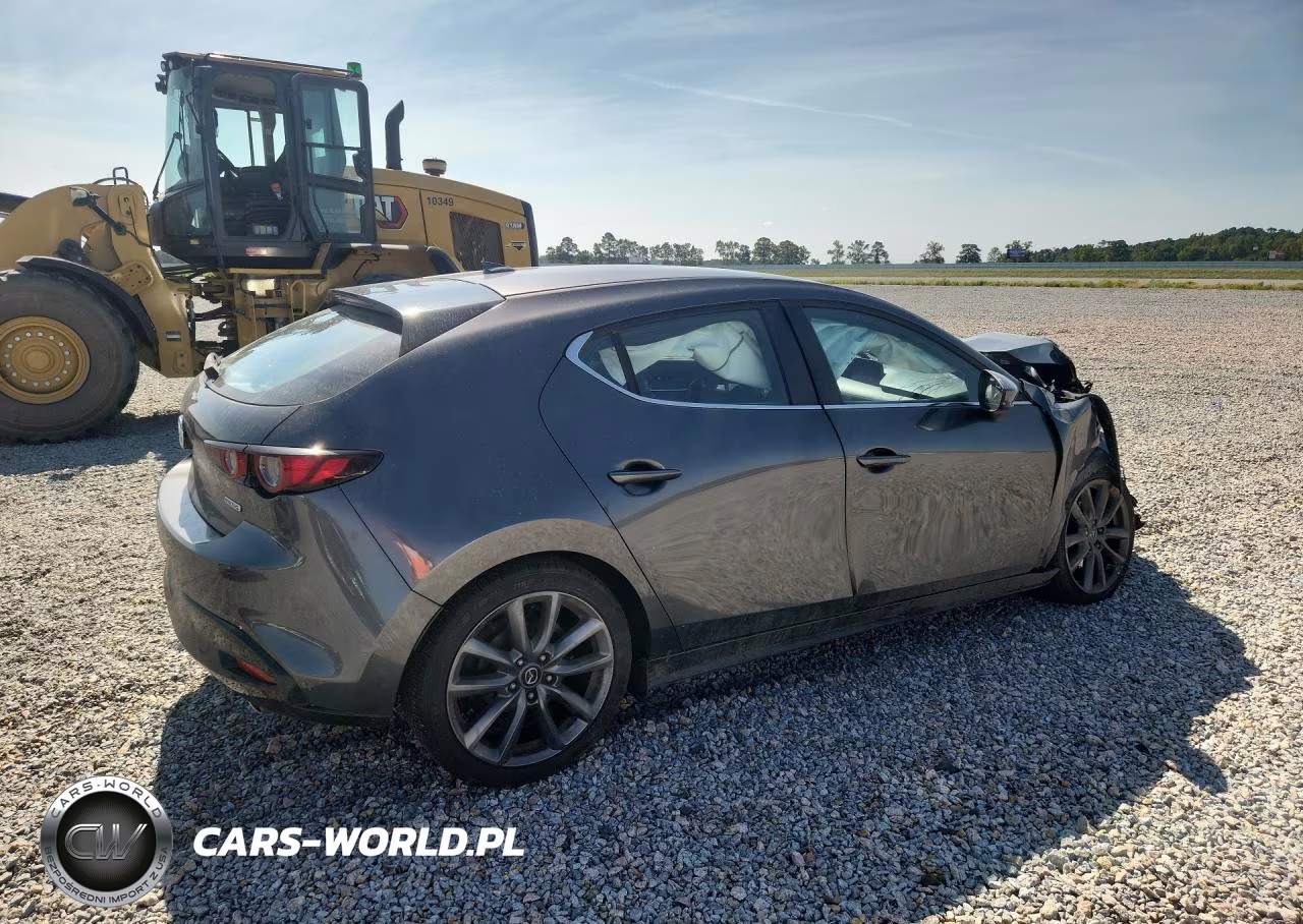 2019 Mazda 3 Preferred VIN:JM1BPBMM2K1135250 - 3