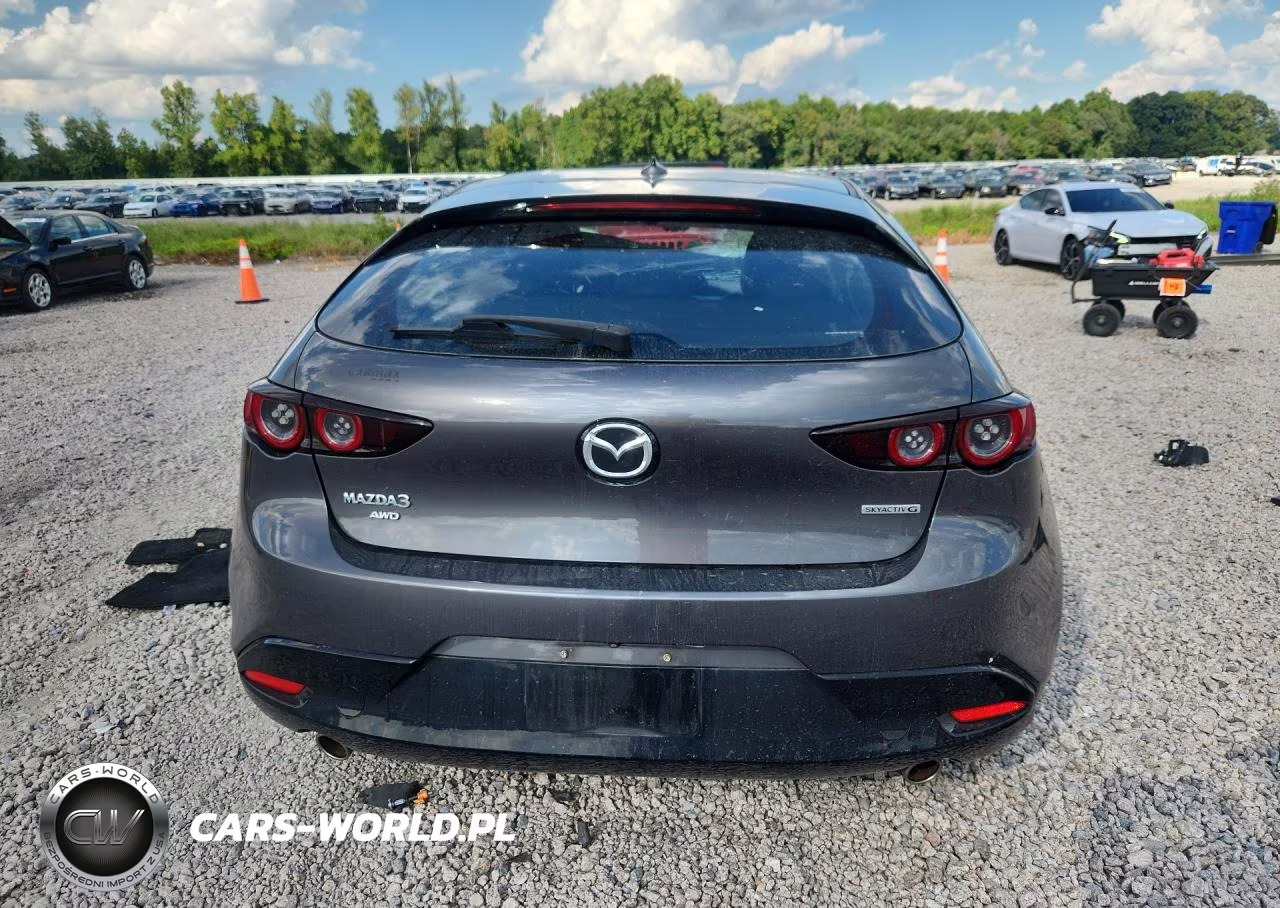 2019 Mazda 3 Preferred VIN:JM1BPBMM2K1135250 - 6