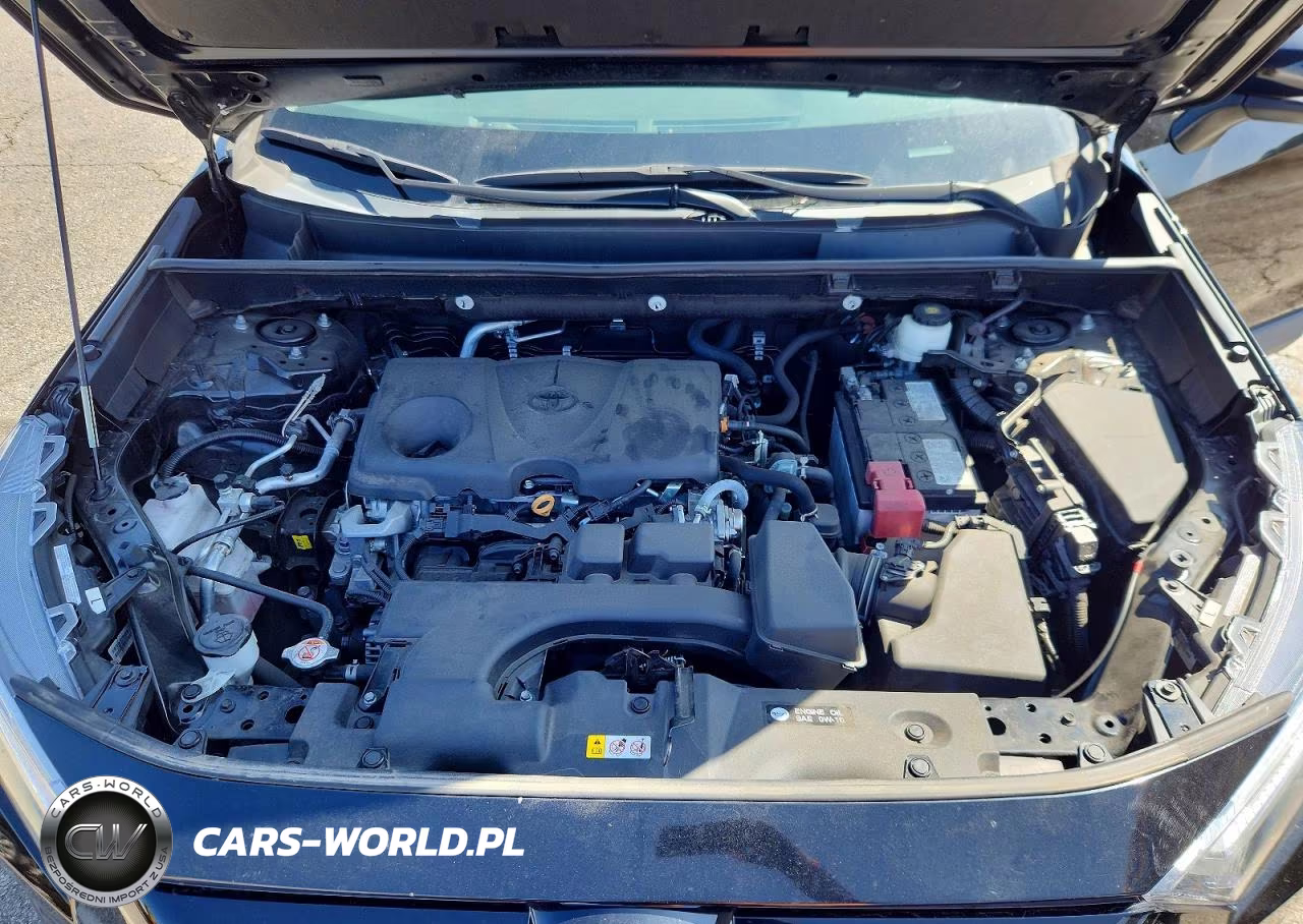 2024 Toyota Rav4 Xle VIN:2T3W1RFV2RC255340 - 12