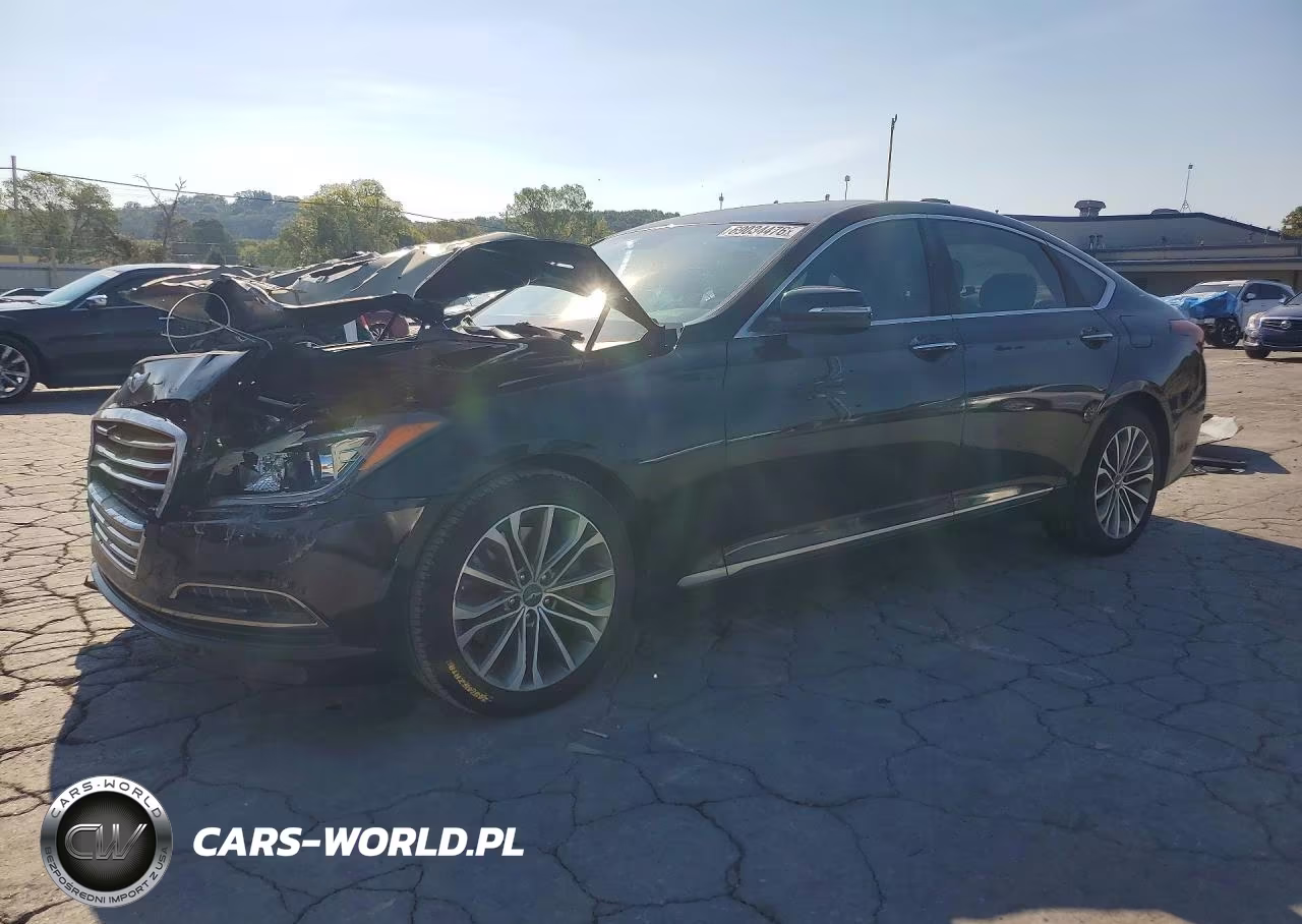 2016 Hyundai Genesis 3.8L VIN:KMHGN4JE8GU138563 - 1