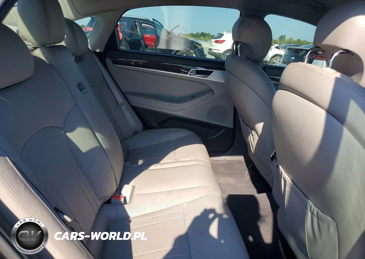 2016 Hyundai Genesis 3.8L VIN:KMHGN4JE8GU138563 - 10