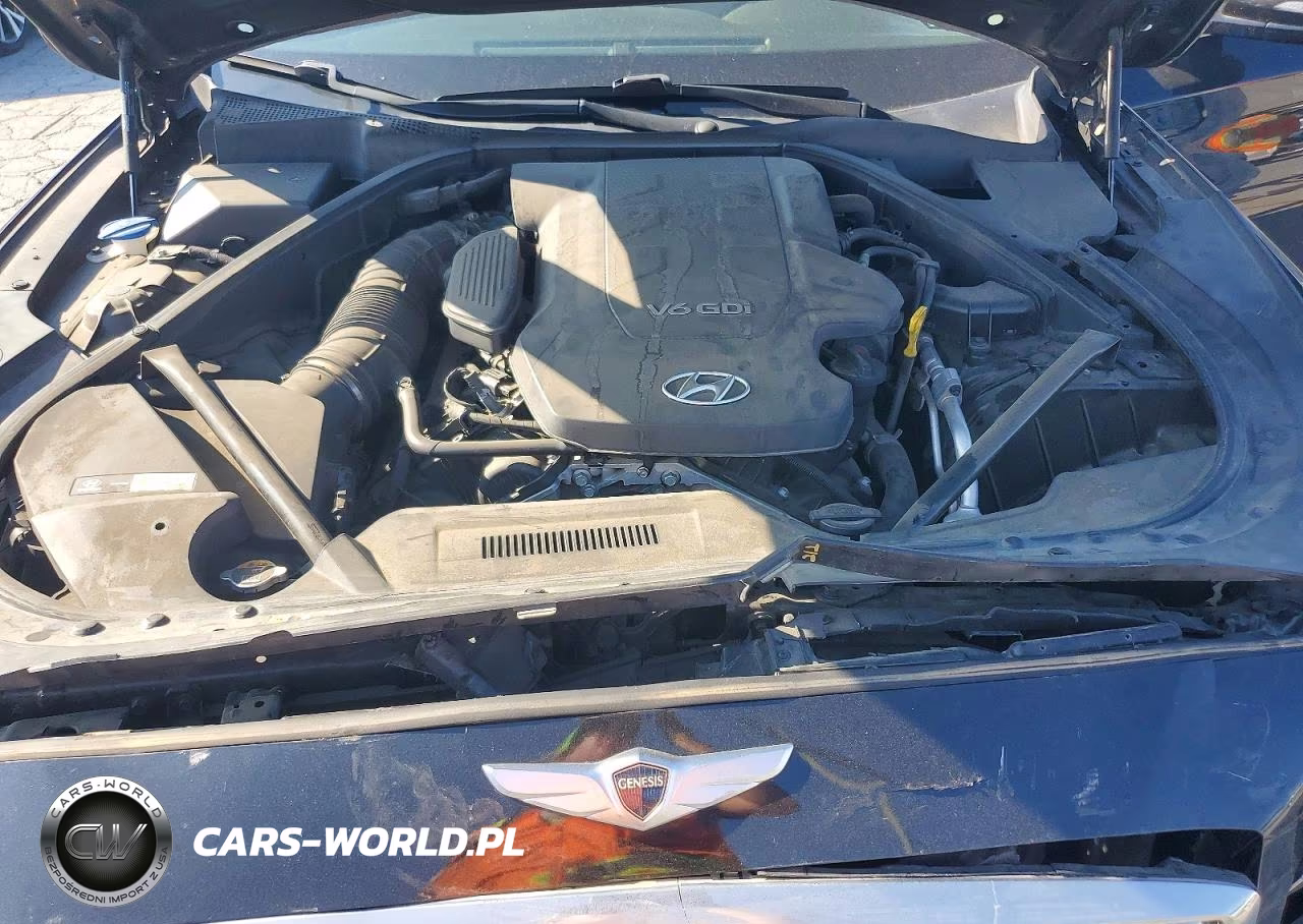 2016 Hyundai Genesis 3.8L VIN:KMHGN4JE8GU138563 - 11