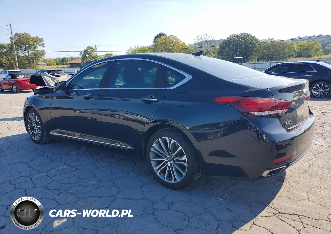 2016 Hyundai Genesis 3.8L VIN:KMHGN4JE8GU138563 - 2