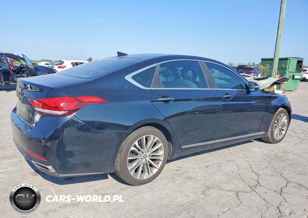 2016 Hyundai Genesis 3.8L VIN:KMHGN4JE8GU138563 - 3